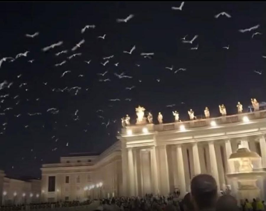 Pombos e gaivotas sobrevoam o Vaticano logo após o encerramento do velório do papa nesta sexta (25)