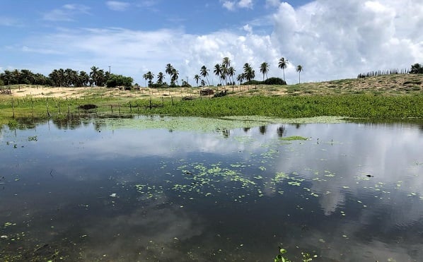 Prefeitura de Maxaranguape solicita apoio do Idema para remoção de jacarés de lagoa