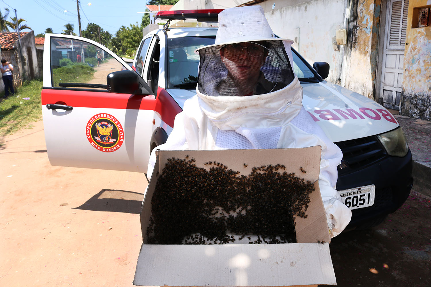 CBMRN alerta população sobre cuidados com enxames de abelhas no início do ano
