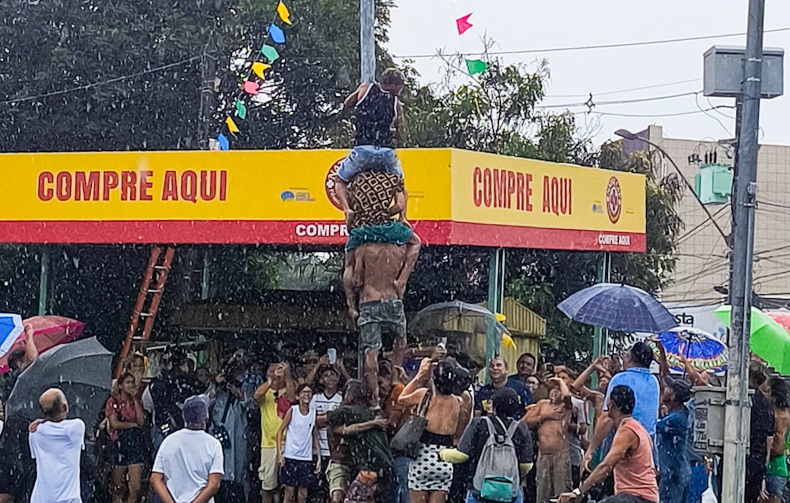 Brincadeira do pau de sebo volta a animar o Alecrim neste sábado com premiação especial