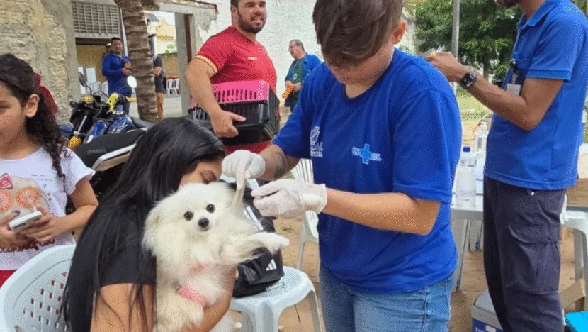 Natal prorroga Campanha de Vacinação Antirrábica até 31 de outubro