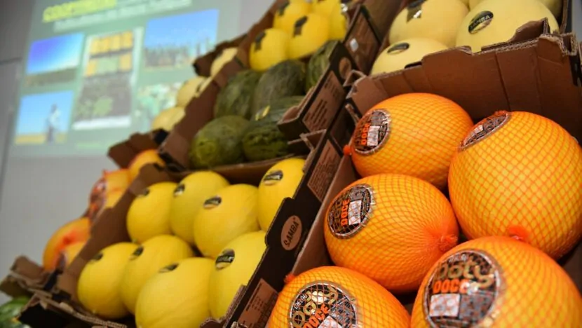 Comércio entre Rio Grande do Norte e União Europeia supera US$ 275 milhões em 2025