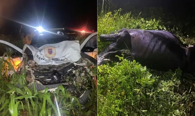 Viatura da Polícia Militar colide com vaca e sai da pista na BR-405 no interior do RN